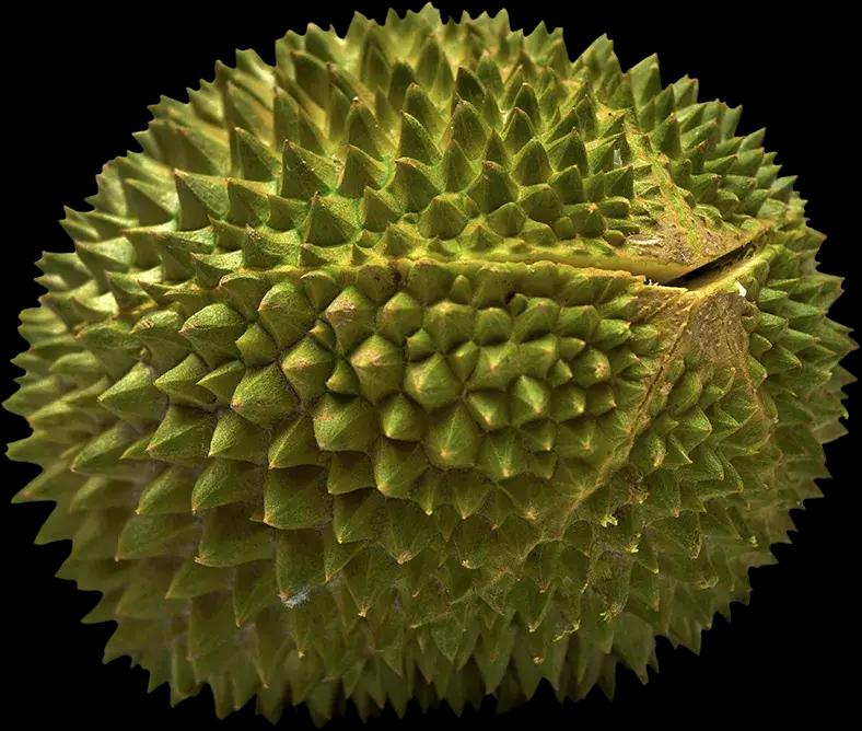 Durian